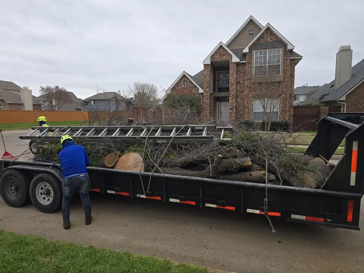 Expert Tree Removal with proper safety equipment in Homer